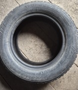 Opony Domin Grip 175/65 r14 82q