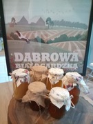 Polski Miód wielokwiat, świeży zbiór 2025 0.9L