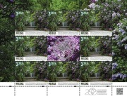 Fi: 4863** arkusz. 200 lat Ogrodu Botanicznego Uniwersytetu Warszawskiego.