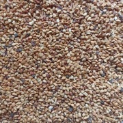 Dzika róża pestki nasiona 100g z Bieszczad 