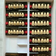 Zęby akrylowe Classic Plus kolor G2 1092 szt.