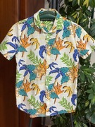 7 Koszula Next chłopięca hawajska kolorowe palmy bawełna 13 lat