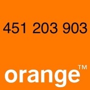 Orange złoty numer 451 203 903 starter