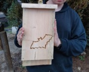 Budka skrzynka dla nietoperzy 