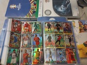Panini Fifa world cup south africa 2010 karty opis 