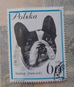 Znaczek pocztowy buldog francuski 