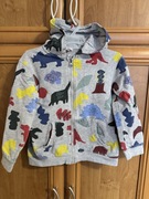 Bluza w dinozaury dla chłopczyka Du