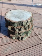 4 Plastry Dębowe o średnicy 23cm 