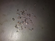 Komplet śrubek do Apple iPhone SE 2020