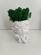 Doniczka betonowa z chrobotkiem