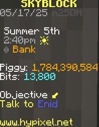 HYPIXEL SKYBLOCK - Coinsy: 1mln = 49gr