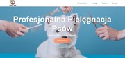 Strona Internetowa