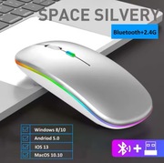 Myszka bezprzewodowa srebrna