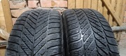 Opony zimowe Dębica Frigo2 205/55/r16