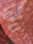 Ziemniaki jak sadzeniaki ekologiczne odmiana Ricarda 20 kg