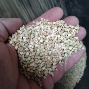 Ekologiczna kasza gryczana biała 