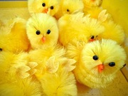 Kurczak Wielkanocny 4 cm Kurczaczki Kurczaki Ozdoby Do Stroików