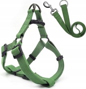 Szelki dla psa ze smyczą Do spacerów 120cm r. L Kolor zielony