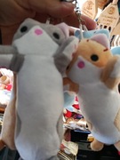 Breloki koty mix zabawka pluszak 15 cm