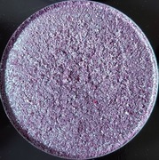 Bal - Glam Shop - cień perłowy (swatchowany)