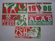 Vlepki Zagłębie Sosnowiec Barwowe #5