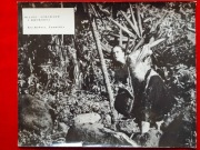 FOTOS~  MIŁOŚĆ SZMARAGD I KROKODYL ~ REŻ. Robert Zemeckis (4)