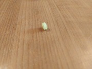 UNITRA Eltra radio Maria R 801 rolka skali 