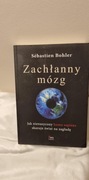 Zachłanny mózg..Bohler