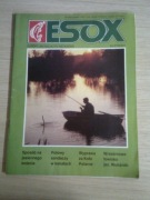 ESOX Nr 9/wrzesień 1993 (18)