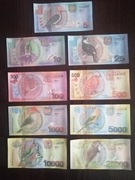 Zestaw kopii banknotów Surinam