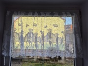 Zazdrostka w surykatki