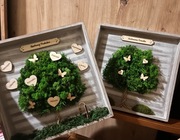 Drzewko z mchu, obraz z żywym mchem 