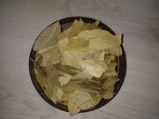liść laurowy 100 gr. 