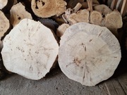 Czeczota Topoli 82/75/9,5 cm Blat Plaster Drewno Stolik Żywica DIY Suchy