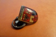 Płońsk Powiat Herb pin przypinka