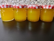 Maść z mniszka lekarskiego 