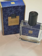 Far away beyond the moon