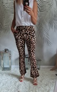 Spodnie panterka 