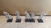 5 szt Metal White Lions High Elves Warhammer Old World