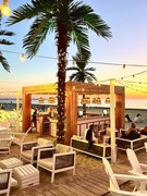 Wynajem Palm, Roślin 