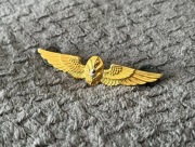 Przypinka - USN - Naval Flight Surgeon