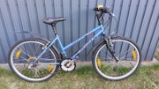 Rower MTB Author