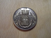 Francja. Medal, miasto Lille. Ogromny. Próba na rancie.