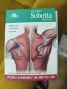 Anatomia Sobotta Flashcards. Mięśnie. Polskie mianownictwo anatomiczne 