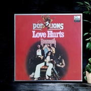 Nazareth Love Hurts Pop Lions 1980 EX Vinyl LP 12