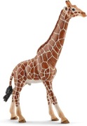 SCHLEICH SLH14750 Samica Żyrafy  SLH14749 Samiec Żyrafy