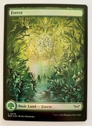 Forest - FOIL (Duskmourn: House of Horror)