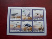 Komory 2009 MNH Fauna Ptaki