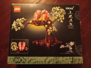 LEGO Ideas Papużki nierozłączki 21365