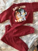 Dres dziecięcy Zara